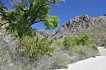 photo thumbnail #9