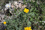 photo thumbnail #10