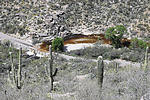 photo thumbnail #14