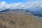 photo thumbnail #3