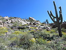 photo thumbnail #3