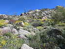 photo thumbnail #4