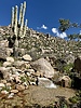 photo thumbnail #5