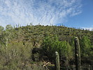 photo thumbnail #5