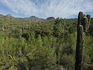 photo thumbnail #7