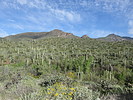 photo thumbnail #9