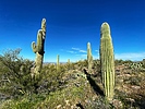 photo thumbnail #10