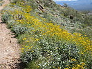 photo thumbnail #8