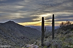 photo thumbnail #4