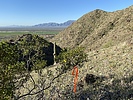 photo thumbnail #7