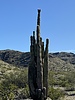 photo thumbnail #13