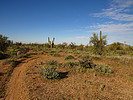 photo thumbnail #8