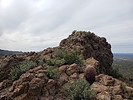 photo thumbnail #3
