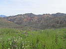 photo thumbnail #4