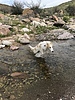 photo thumbnail #7