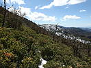 photo thumbnail #9