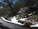 photo thumbnail #8
