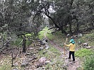 photo thumbnail #5