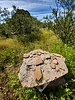 photo thumbnail #6