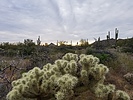 photo thumbnail #7