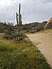 photo thumbnail #1