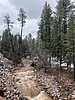 photo thumbnail #1