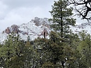photo thumbnail #3
