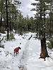 photo thumbnail #2