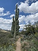photo thumbnail #12