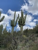 photo thumbnail #13