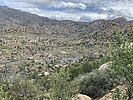 photo thumbnail #4