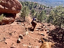 photo thumbnail #6