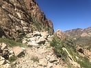 photo of comment
