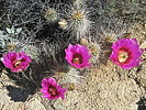 photo thumbnail #8
