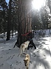 photo thumbnail #3