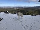 photo thumbnail #7