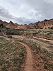photo thumbnail #3