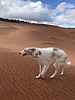 photo thumbnail #10