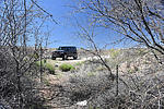 photo thumbnail #1