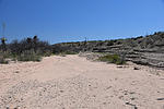 photo thumbnail #2