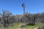 photo thumbnail #3