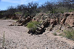 photo thumbnail #10