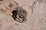 photo thumbnail #13