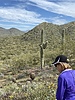 photo thumbnail #3