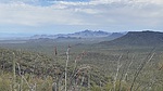 photo thumbnail #13