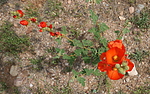 photo thumbnail #1