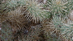 photo thumbnail #15