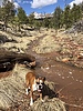 photo thumbnail #2