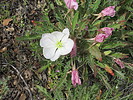 Featured Full Photo