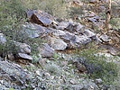 photo thumbnail #5
